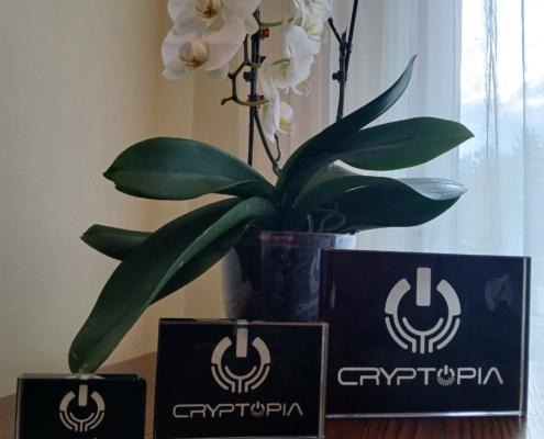 All Cryptopia Collection Crystal sizes from left to right (Small, Medium, Large)